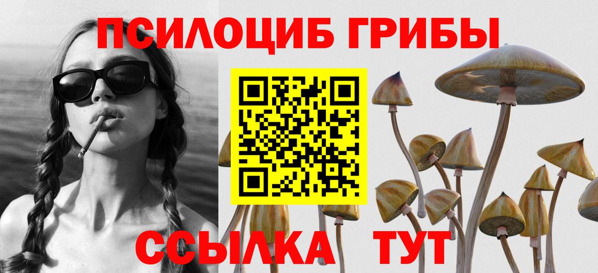 Галлюциногенные грибы прущие грибы Видное