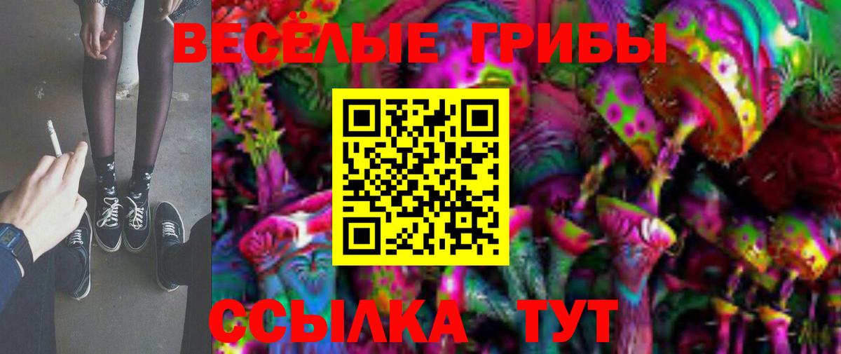 Видное  Псилоцибиновые грибы Cubensis  Вход с VPN  Псилоцибиновые грибы мухоморы 