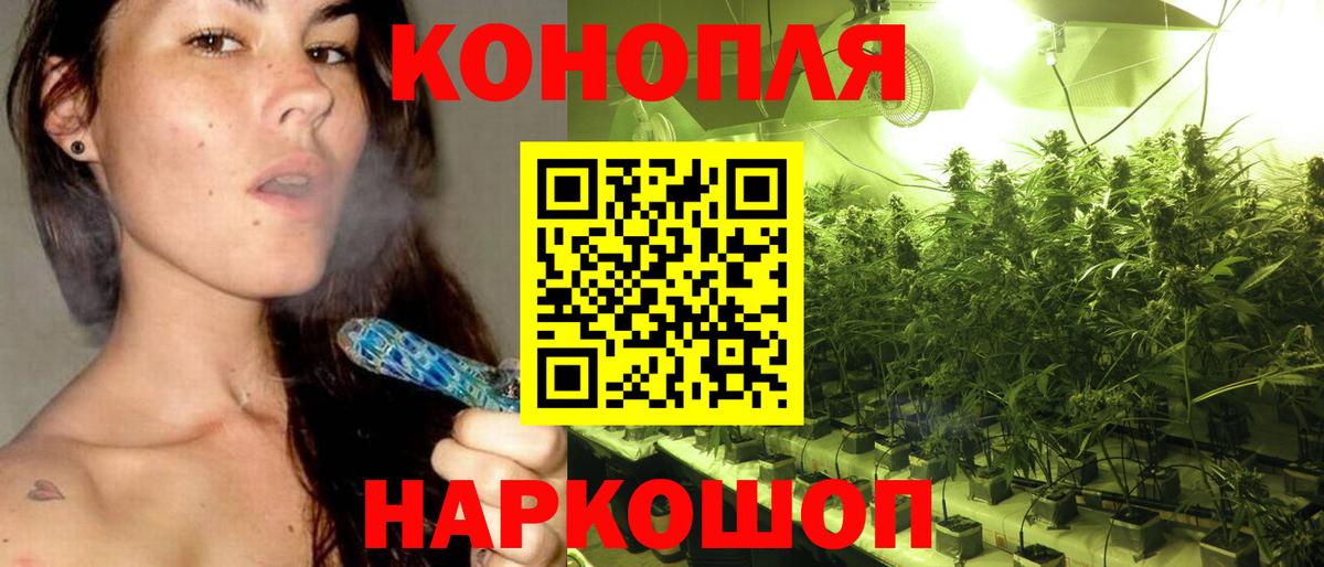Каннабис планчик Видное